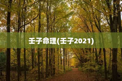 壬子命理(壬子2021)