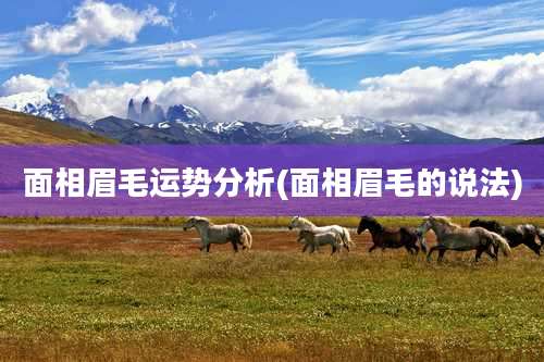 面相眉毛运势分析(面相眉毛的说法)