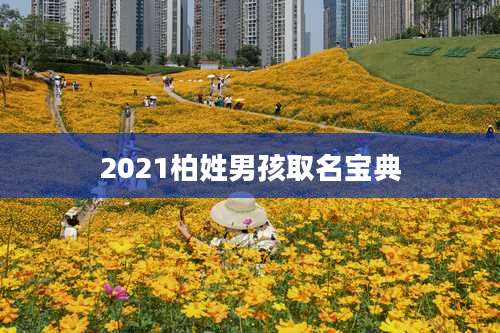 2021柏姓男孩取名宝典