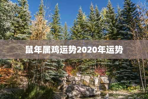 鼠年属鸡运势2020年运势