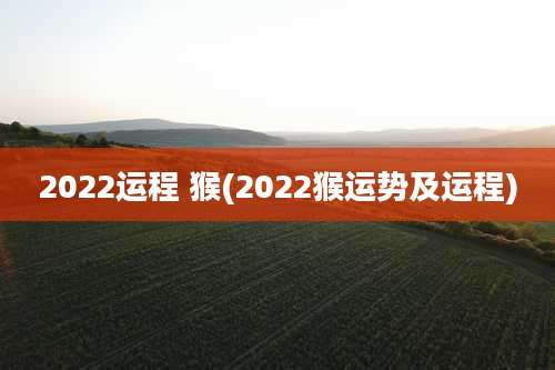 2022运程 猴(2022猴运势及运程)