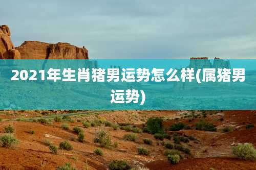 2021年生肖猪男运势怎么样(属猪男运势)