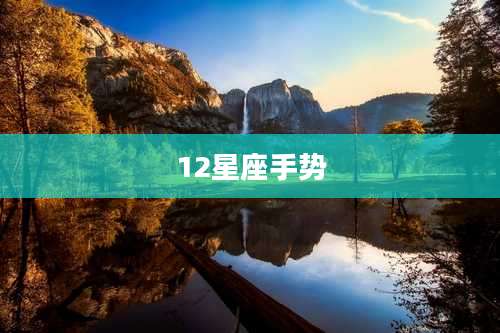 12星座手势