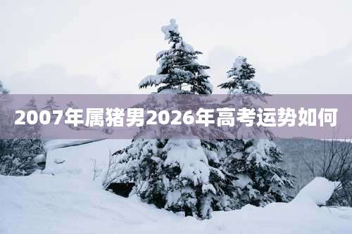 2007年属猪男2026年高考运势如何