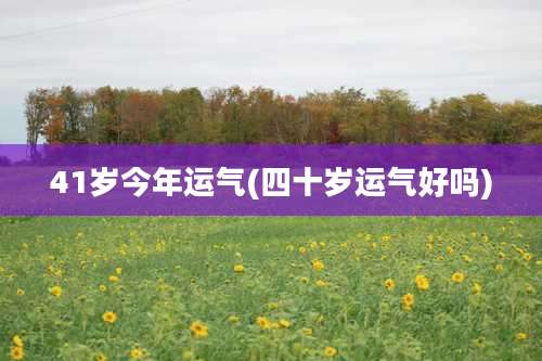 41岁今年运气(四十岁运气好吗)