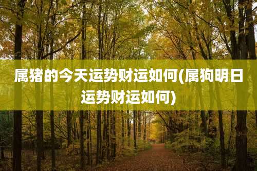 属猪的今天运势财运如何(属狗明日运势财运如何)