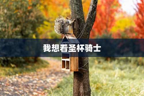 我想看圣杯骑士