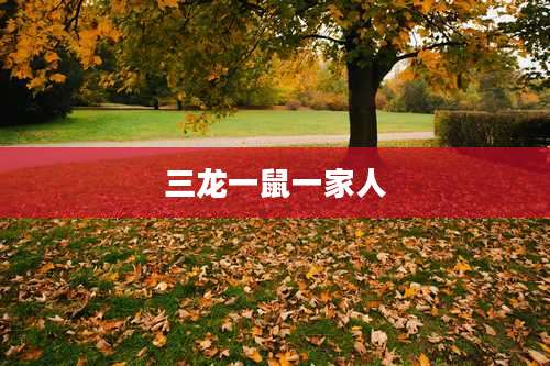 三龙一鼠一家人