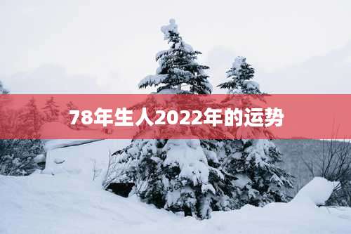 78年生人2022年的运势