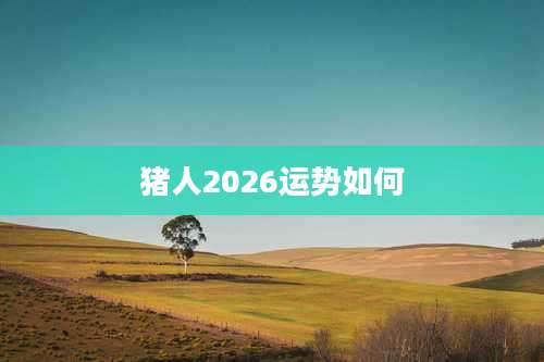 猪人2026运势如何