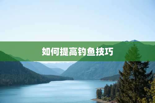 如何提高钓鱼技巧