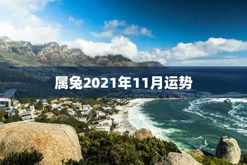 属兔2021年11月运势