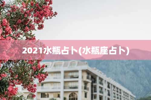 2021水瓶占卜(水瓶座占卜)