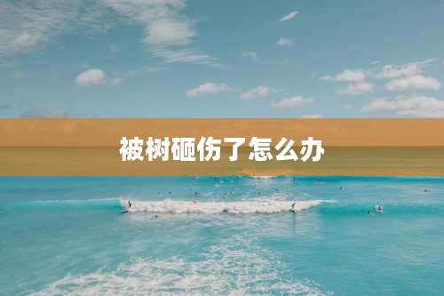被树砸伤了怎么办