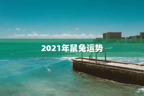 2021年鼠兔运势