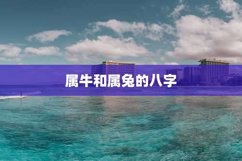 属牛和属兔的八字