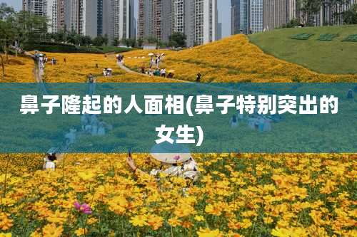 鼻子隆起的人面相(鼻子特别突出的女生)