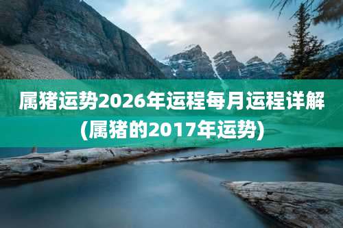 属猪运势2026年运程每月运程详解(属猪的2017年运势)