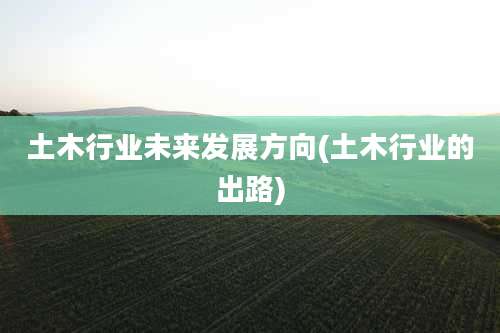 土木行业未来发展方向(土木行业的出路)