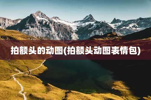 拍额头的动图(拍额头动图表情包)