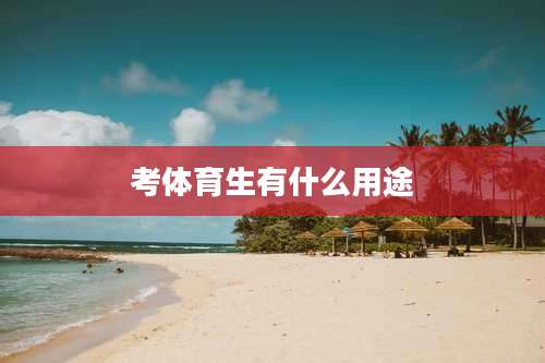 考体育生有什么用途