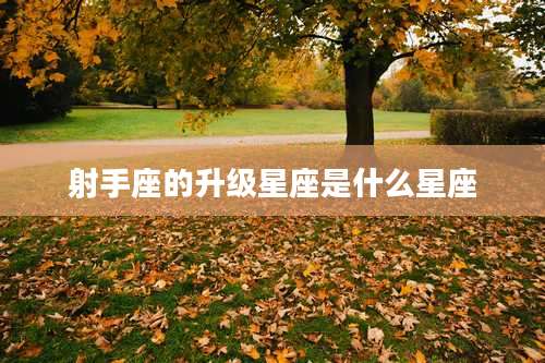 射手座的升级星座是什么星座