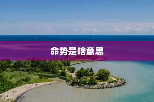 命势是啥意思