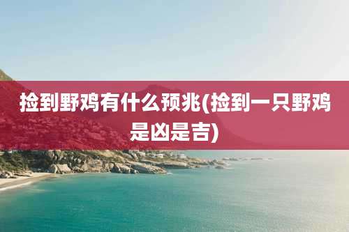 捡到野鸡有什么预兆(捡到一只野鸡是凶是吉)
