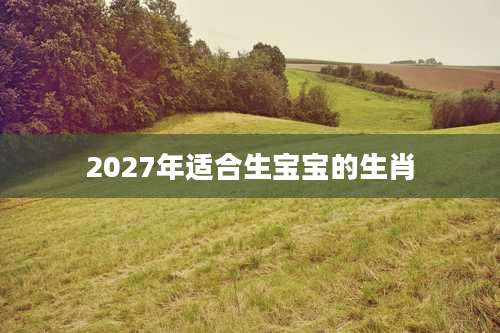 2027年适合生宝宝的生肖