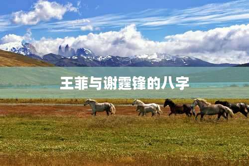 王菲与谢霆锋的八字