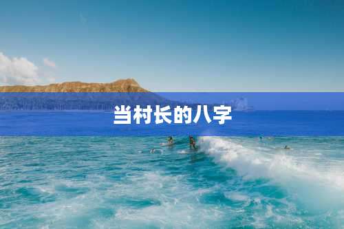 当村长的八字