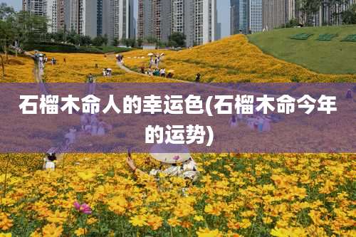 石榴木命人的幸运色(石榴木命今年的运势)