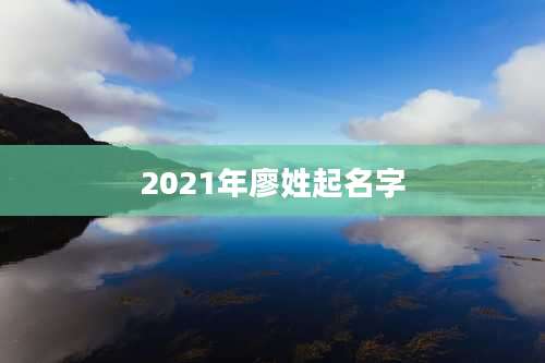 2021年廖姓起名字
