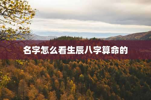 名字怎么看生辰八字算命的