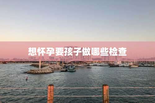 想怀孕要孩子做哪些检查