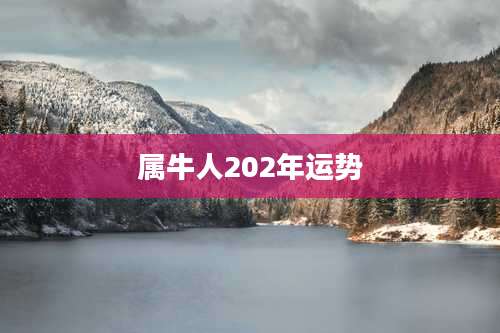 属牛人202年运势