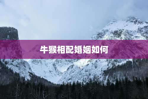 牛猴相配婚姻如何