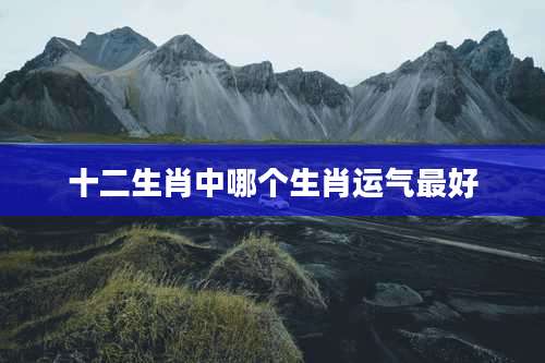 十二生肖中哪个生肖运气最好