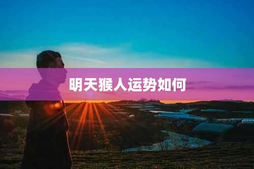 明天猴人运势如何