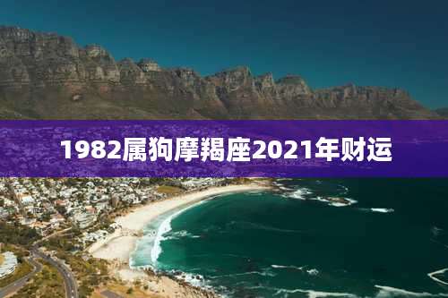 1982属狗摩羯座2021年财运
