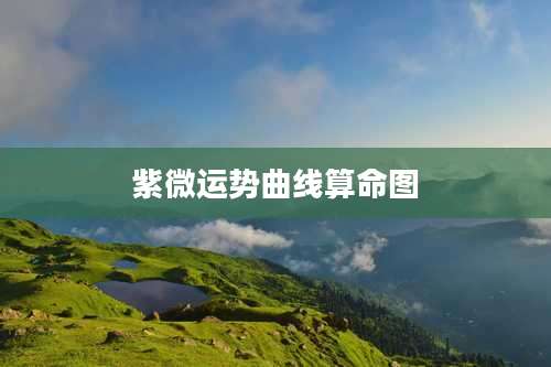 紫微运势曲线算命图