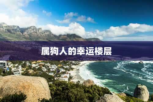 属狗人的幸运楼层