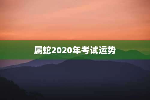 属蛇2020年考试运势