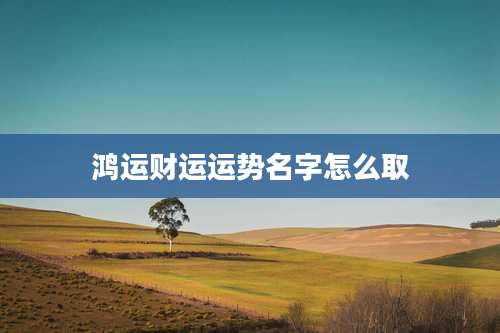 鸿运财运运势名字怎么取