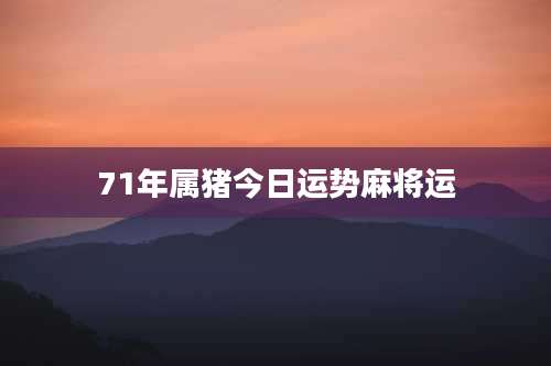 71年属猪今日运势麻将运