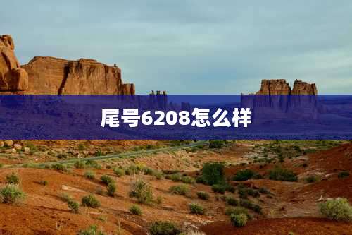 尾号6208怎么样