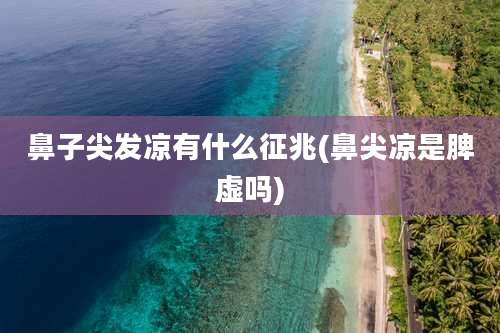 鼻子尖发凉有什么征兆(鼻尖凉是脾虚吗)