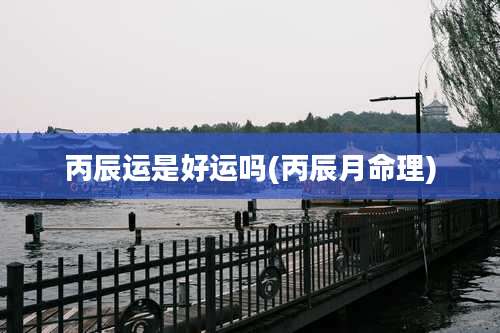 丙辰运是好运吗(丙辰月命理)