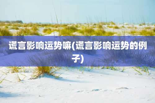 谎言影响运势嘛(谎言影响运势的例子)