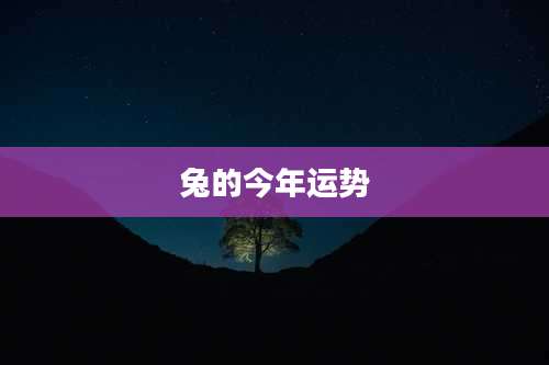 兔的今年运势